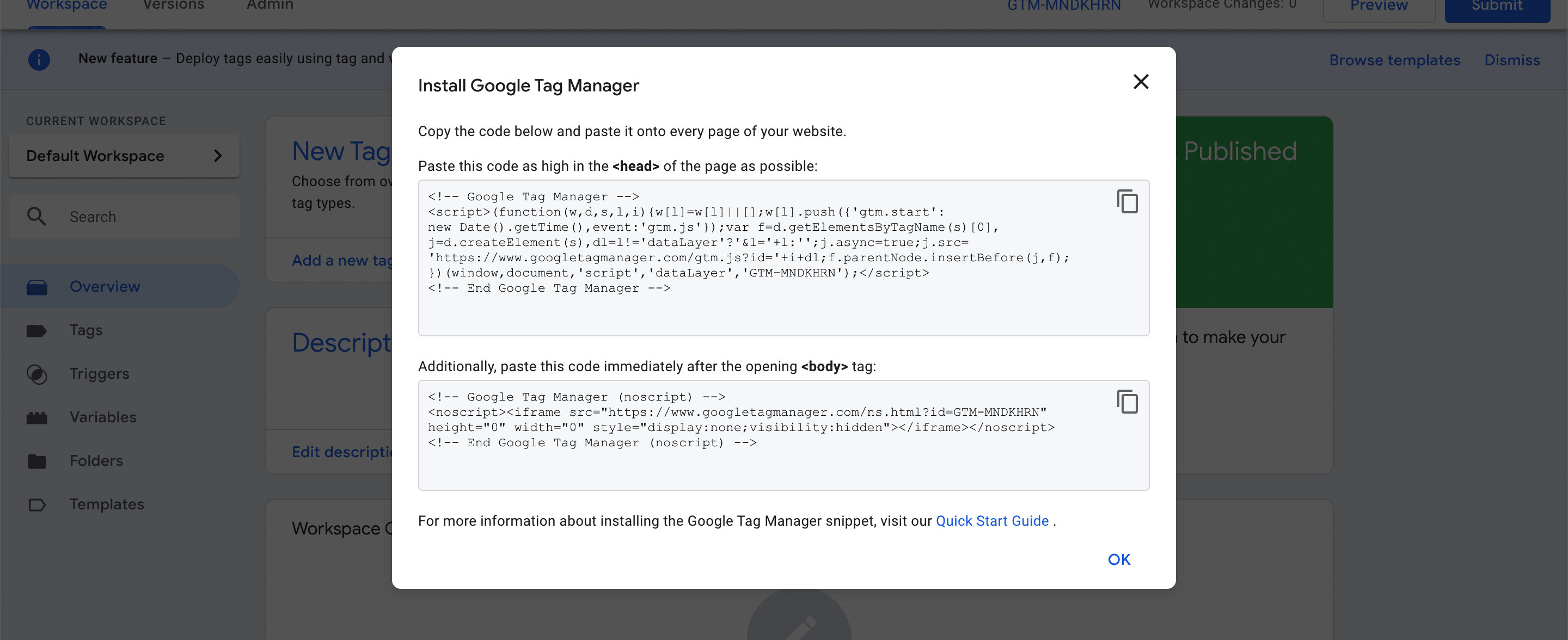Google Tag Manager install snippet